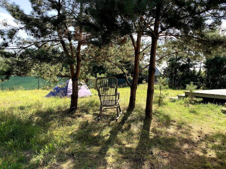 Domek Holenderski Jasnotka Golubie Exteriör bild